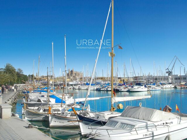 Palma de Mallorca: Elegante Apartamento de 3 Dormitorios con Amplia Terraza Privada