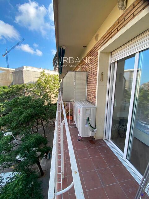 Spacious 4-Bedroom Apartment with Private Balcony and Shared Rooftop